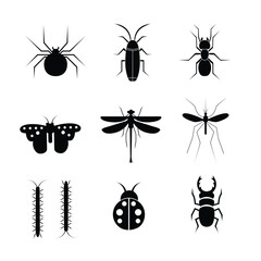 set of insects vector