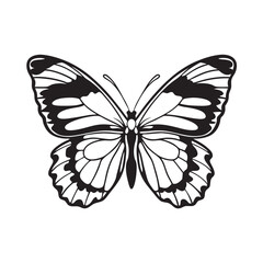 line art of a butterfly insect