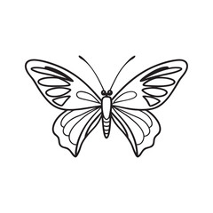 line art of a butterfly insect
