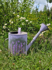 Garden iron watering can near a flower bed