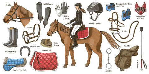 Equestrian sports equipment set vector