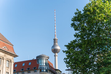 The Berlin TV Tower towers above historic buildings with red roofs, framed by a green tree. The photo combines technology, nature, and the city s history.
