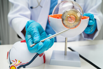 Asian doctor with eye human anatomy model for study diagnosis and treatment in hospital.