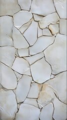 White Irregular Stone Wall Texture