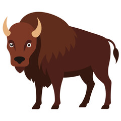 Bison on white background