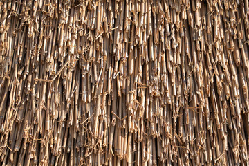 Detailed view of densely processed reeds as a roofing material. The natural structure exhibits subtle variations in color and shape