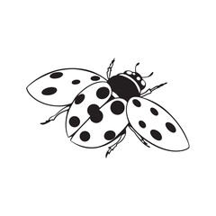 Obraz premium line art of ladybug with dotted wings insects on the white background