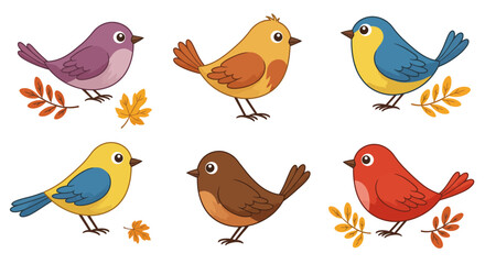 Cute colorful cartoon bird collection vector illustration set