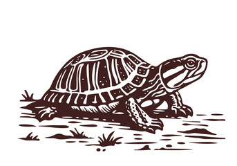 Yellow-Bellied Slider Hand Drawn Natural Illustration Stylized as Linocut Vector Isolated by AZ for Books, Arts, Design and Decoration Graphic Asset