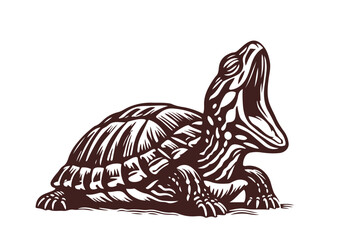 Yellow-Bellied Slider Hand Drawn Natural Illustration Stylized as Linocut Vector Isolated by AZ for Books, Arts, Design and Decoration Graphic Asset