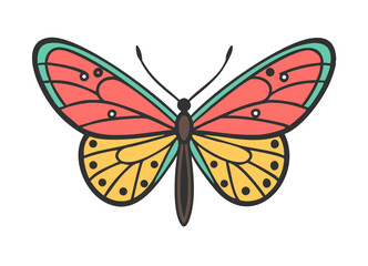 Colorful butterfly . Vector illustration