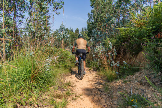 Senior cyclist riding electric mountain bike on trail in eucalyptus forest - Powered by Adobe