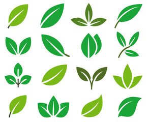 Leaf icons set isolated on white background. Leaf logotype. Vector