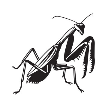 black praying mantis insect silhouette clip art preview