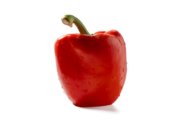 A vibrant red bell pepper stands upright with glistening water droplets on its surface. Isolated on white background, perfect for healthy food or cooking concepts.