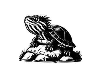 Yellow Bellied Slider Hand Drawn Natural Illustration Cartoon Stylized Vector Isolated by AZ for Books, Arts, Design and Decoration Graphic Asset