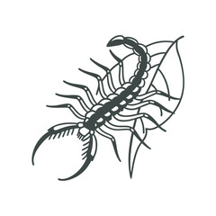 Obraz premium line art of tiny parasitic insect on the white background