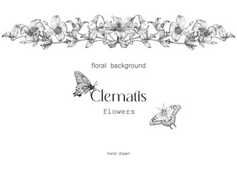 Vector vintage floral decor border, black white. Clematis flowers, leaves, butterflies, engraved elements. Hand drawn illustration. Background for design greeting card, wedding decor, invitation, gift