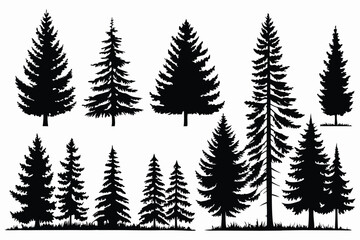 Obraz premium Evergreen forest tree vector collection – isolated pine and fir tree shapes