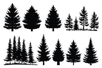 Fototapeta premium Evergreen forest tree vector collection – isolated pine and fir tree shapes