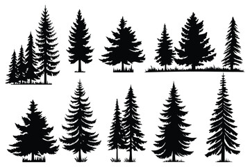 Obraz premium Evergreen forest tree vector collection – isolated pine and fir tree shapes