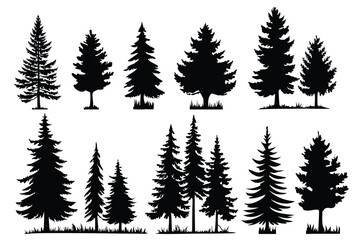 Obraz premium Evergreen forest tree vector collection – isolated pine and fir tree shapes