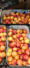 peaches