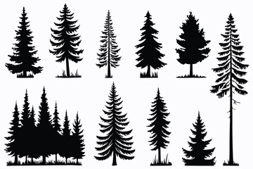 Obraz premium Evergreen forest tree vector collection – isolated pine and fir tree shapes