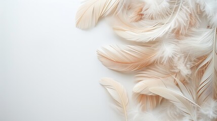 Close up of soft beige and white feathers arranged on a white surface with copy space on the left