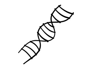 Hand drawn doodle icon of DNA structure. Outline chemical and medical symbol. Simple sketch style molecular biology clipart. Vector line illustration. Isolated on white.