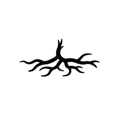 Fototapeta premium Black Silhouette Rhizome Vector Garden Plant Root Icon