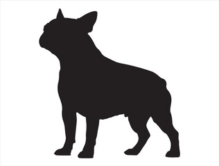 Boston Terrier Dog Silhouette