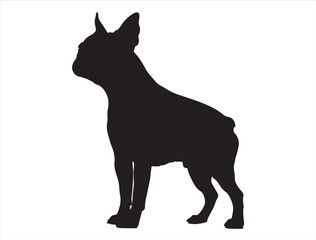 Boston Terrier Dog Silhouette