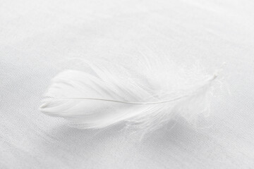 Obraz premium Closeup view of a soft feather on a white fabric