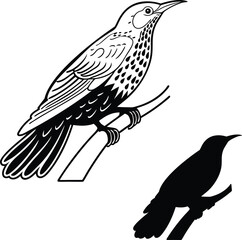 Elegant Nightingale Pose Vector Illustration  
