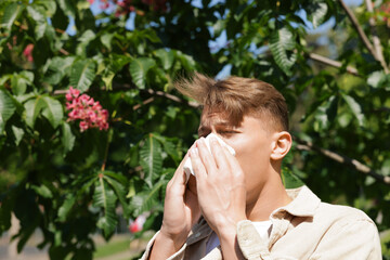Young man with paper tissue suffering from seasonal pollen allergy near blossoming tree on spring...