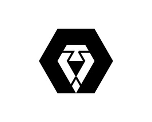 Simple Geometric Shape Lion Head Logo Inside Hexagon