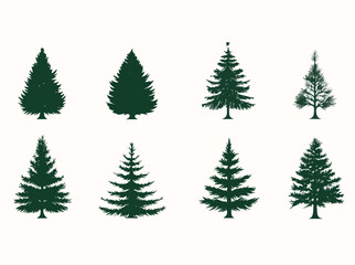 Collection of Eight Evergreen Tree Silhouettes Isolated on White Background