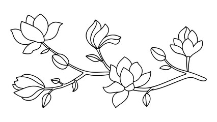Magnolia flower, magnolia tree branch line art