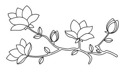 Magnolia flower, magnolia tree branch line art © Rani