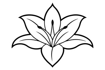 Lily vector silhouette illustration isolated on white background