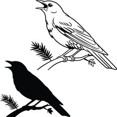 Vintage Nightingale Silhouette Vector Illustration  
