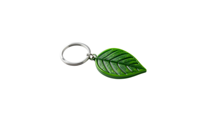 Keychain on white background