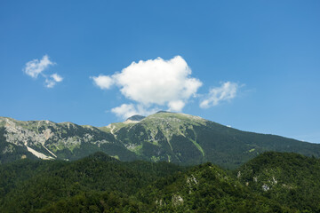 Mountain range with green forested slopes under clear blue sky with lonely cloud and empty space...