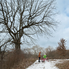 Winter adventure unfolds as a child learns to ride a bicycle near a majestic old tree in a serene,...