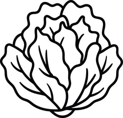 lettuce icon line art vector illustration on transparent background