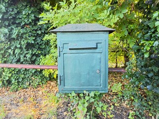 Mailbox in front of the forest foliage.