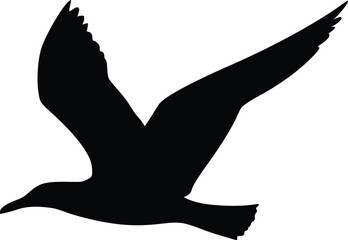Obraz premium Seagull silhouette in flight, editable vector illustration, isolated on white