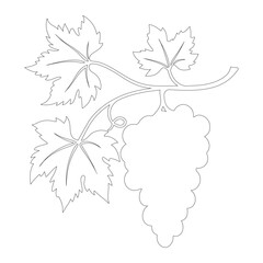Outline bunch of grapes on branch with leaves, dark contour of grapes on white background.