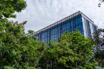 budynek biurowy w katowicach , w drzewach